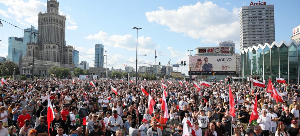 Elementy faszystowskie”. Skandaliczne słowa Senyszyn o Marszu ...